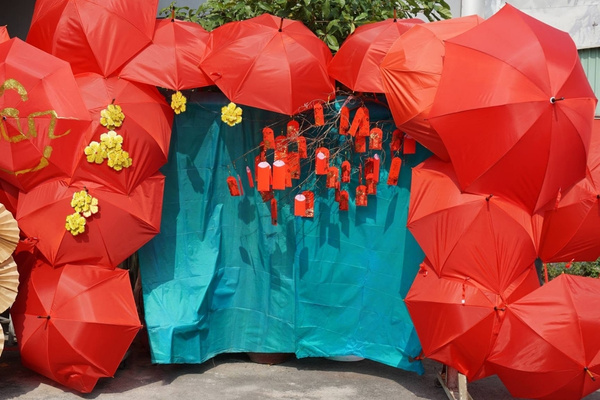 Khung và vải của sản phẩm được lựa chọn để chống chịu nắng mưa