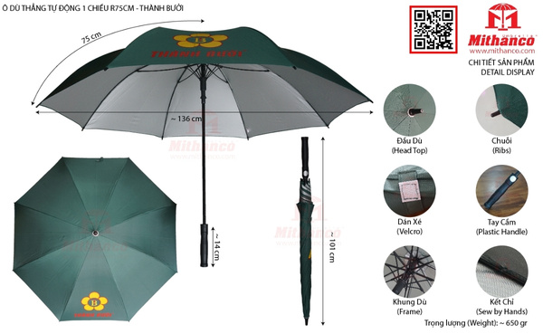 o-du-thang-tu- dong-1-chieu-r 75cm-thanh-buo i-1.jpg