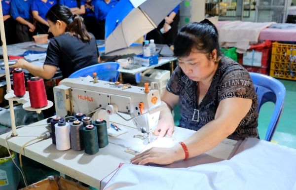 Đội ngũ làm việc có nhiều kinh nghiệm trong lĩnh vực ô dù