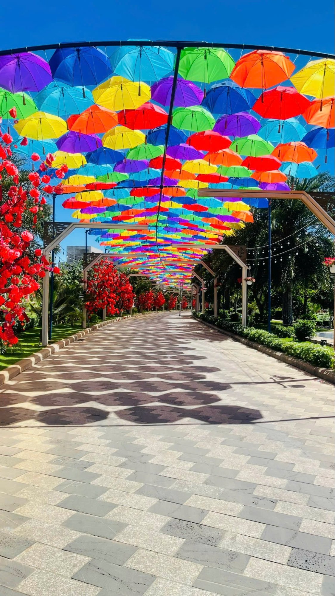 Ô DÙ TRONG TRANG TRÍ SỰ KIỆN: SÁNG TẠO KHÔNG GIAN ĐỘC ĐÁO