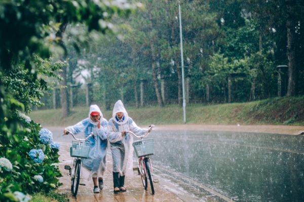 MÙA MƯA ĐÀ LẠT VÀO THÁNG MẤY? CẨM NANG DU LỊCH ĐÀ LẠT MÙA MƯA