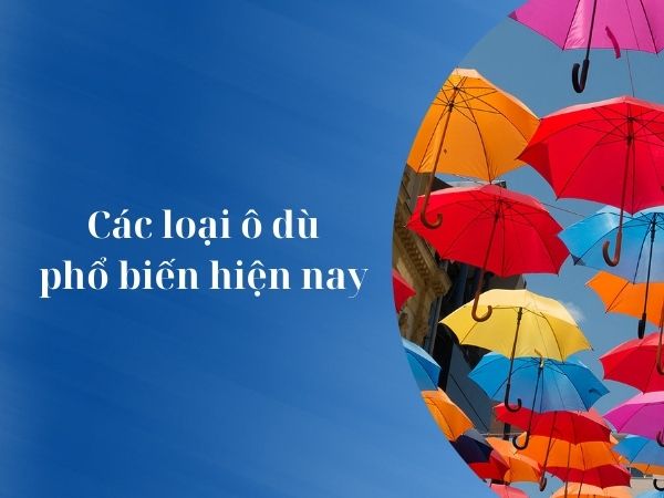 9+ CÁC LOẠI Ô DÙ PHỔ BIẾN TRÊN THỊ TRƯỜNG HIỆN NAY