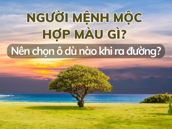 MỆNH MỘC HỢP MÀU GÌ? NÊN CHỌN Ô DÙ NHƯ THẾ NÀO KHI ĐI ĐƯỜNG