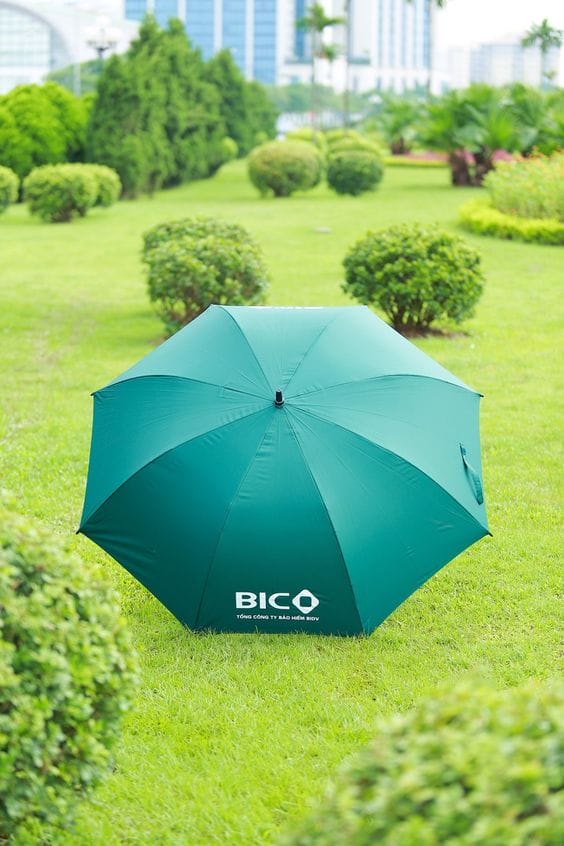 NHỮNG LÍ DO NÊN CHỌN O DU QUANG CAO LÀM QUÀ TẶNG 